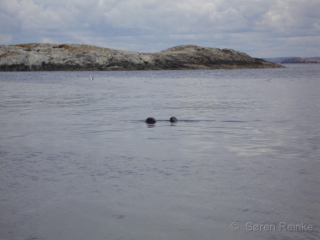 Hamborgsund 29juni til 1 juli 2007 (104).JPG