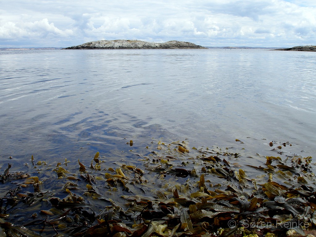 Hamborgsund 29juni til 1 juli 2007 (106).jpg